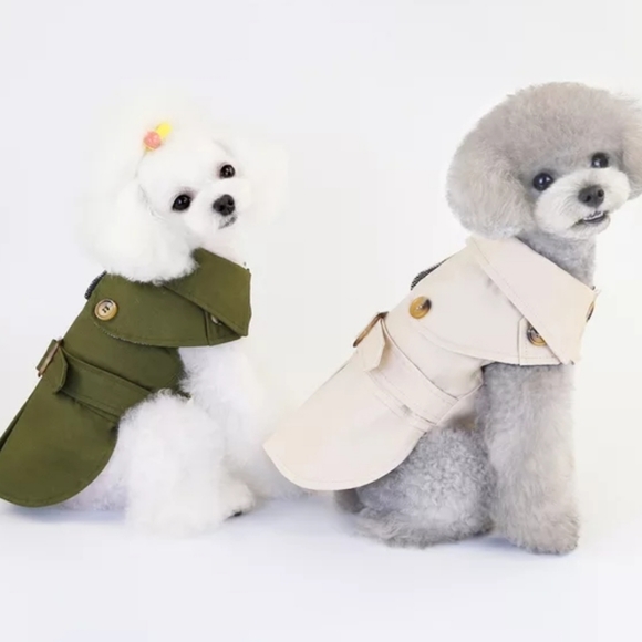 Fur baby dog trench coat from FashionedFurBabies.com - Picture 3 of 4